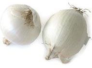 allium_cepa2.jpg