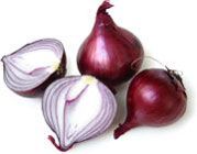 allium_cepa4.jpg